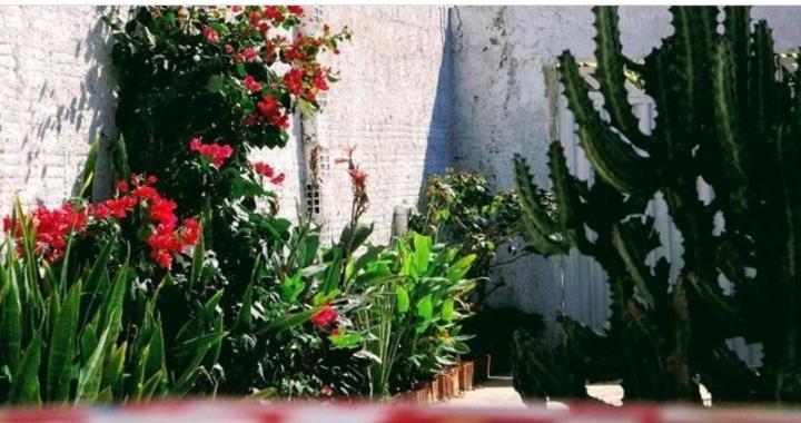 Pousada E Hostel Muiraquita Canoa Quebrada Ngoại thất bức ảnh